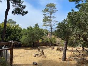Richard Avenue, Cambria, CA 93428 : Cambria Real Estate