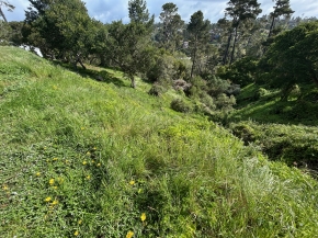 0 Plymouth Street, Cambria, CA 93428 : Cambria Real Estate